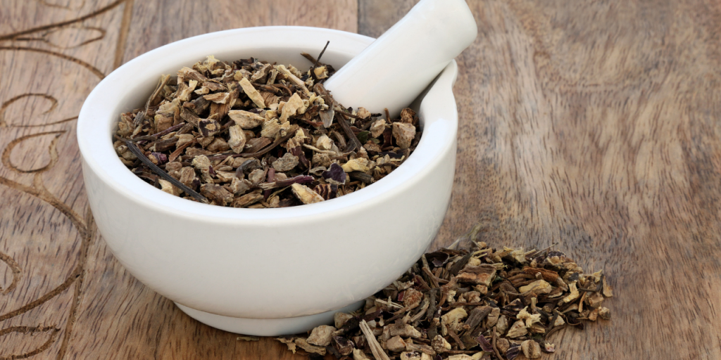 WHAT IS ECHINACEA ROOT?