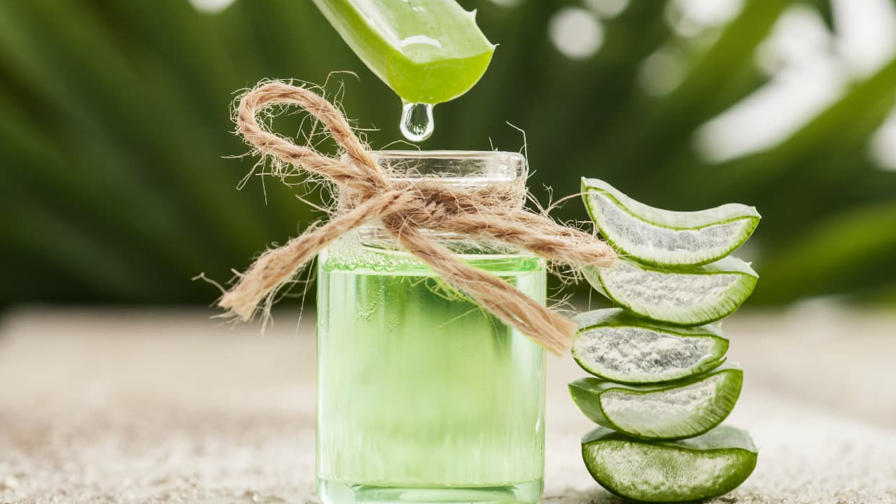 WHAT IS ALOE VERA GOOD FOR?