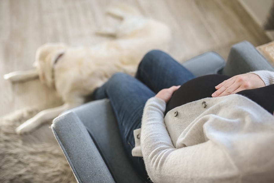 Person sitting on a chair with hands on their pregnant belly, wearing a light sweater and jeans. A dog lies on the wooden floor nearby.