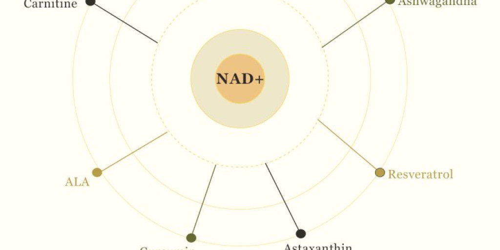 Longevity Supplements for Gen Z markets | Rain Nutrience UK