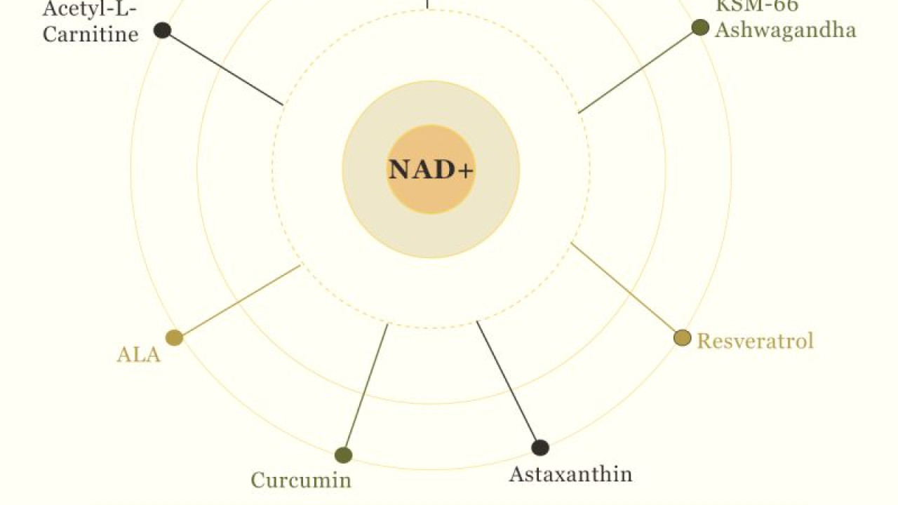 Longevity Supplements for Gen Z markets | Rain Nutrience UK