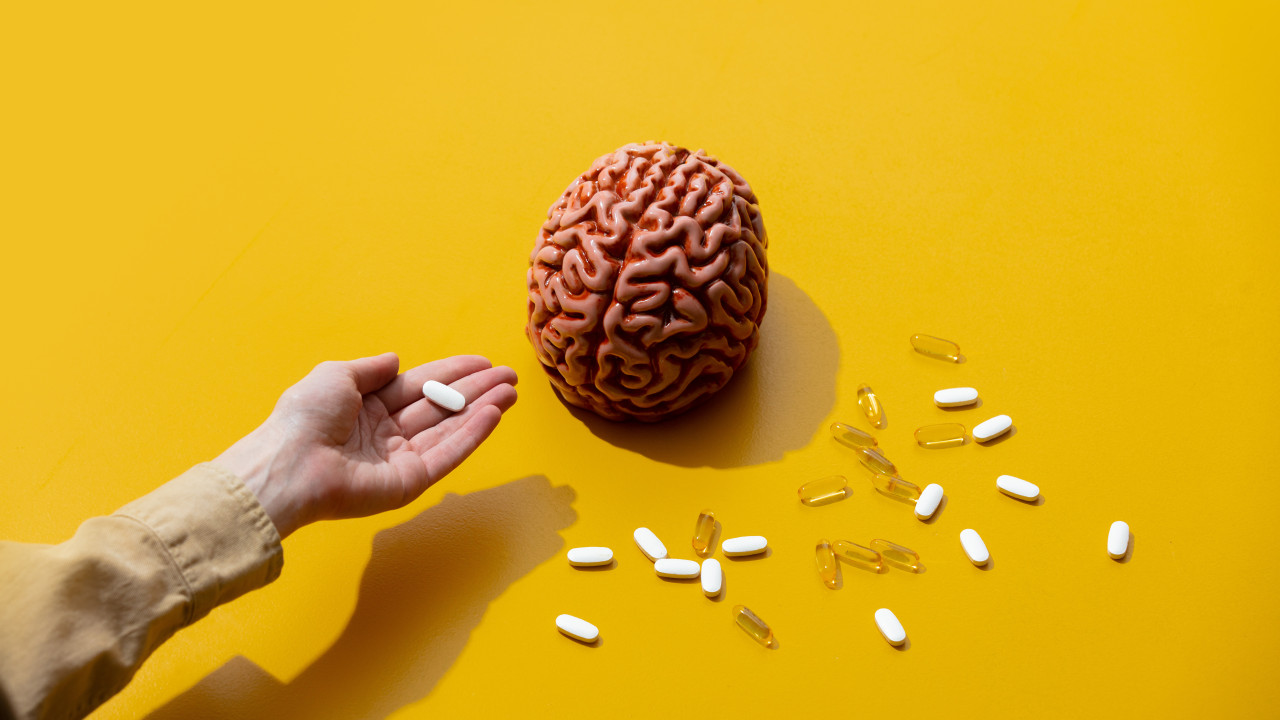 An Expert Guide to Private Label Nootropics for UK Supplement Brands