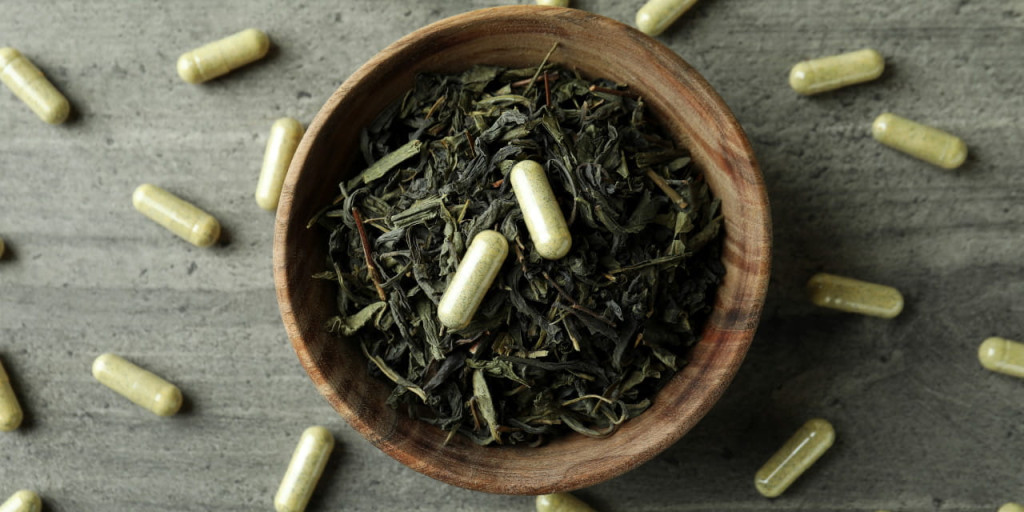 A Beginner’s Guide to L-Theanine benefits | Rain Nutrience UK